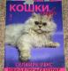 Кот СЕЛКИРК РЕКС (британец кудрявый) приглашает на вязки. - Москва и Подмосковье