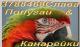 продам: Ручные, говорящие крупные, большие, средние, малые виды попугаев в продаже. Канарейки. Клетки, корм  - Москва и Подмосковье