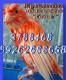 продам: Канарейки от Славы с гарантией пения. Пусть поют для 