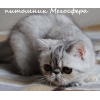 Прикрепленные изображения