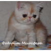 Прикрепленные изображения