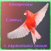 Прикрепленные изображения