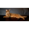 Абиссинский кот для вязки.  импорт США.