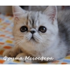 Прикрепленные изображения