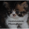 Прикрепленные изображения