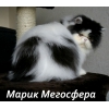 Прикрепленные изображения