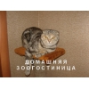Прикрепленные изображения
